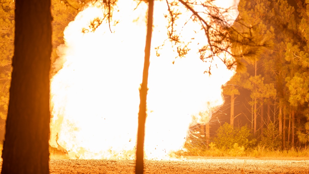 2-504 PIR Paratroopers Conduct 81mm Mortar LFX | Devil Avalanche