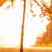 2-504 PIR Paratroopers Conduct 81mm Mortar LFX | Devil Avalanche
