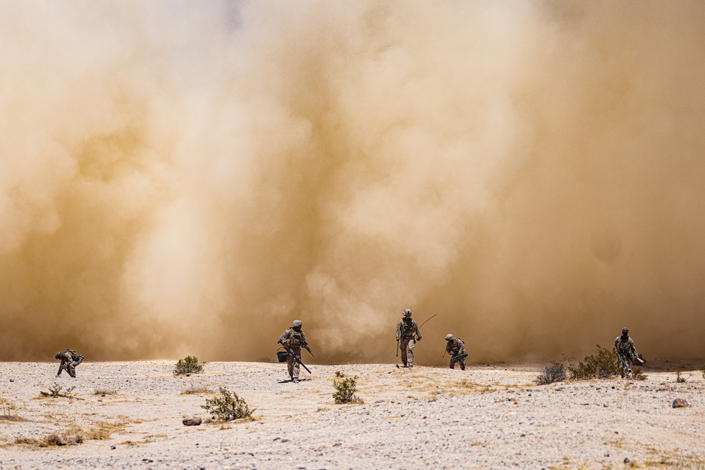 SLTE 4-25: S Battery 2/10 Air Assault