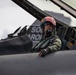 169th Fighter Wing takes flight during Relámpago de los Andes