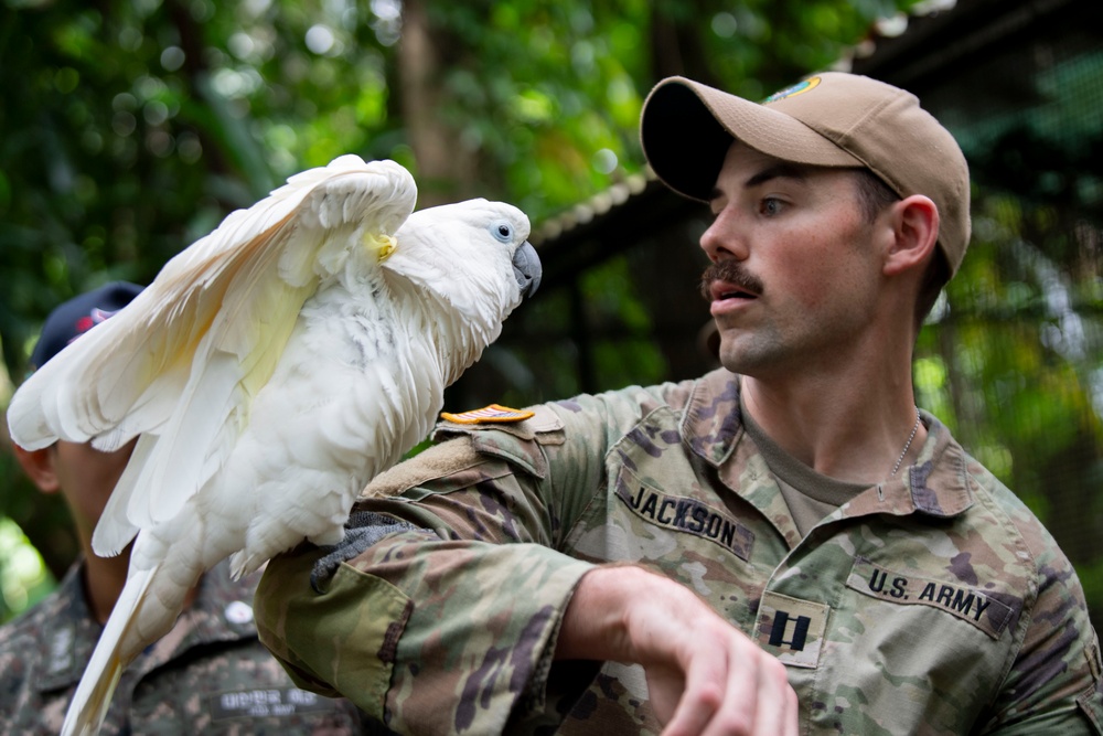 Pacific Partnership 2025 Multinational Servicemembers Discuss Animal Welfare during an engagement at the Rainforest Habitat.
