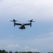 MCOLF Atlantic Airfield Insert