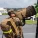 3D MEB tests deployment readiness
