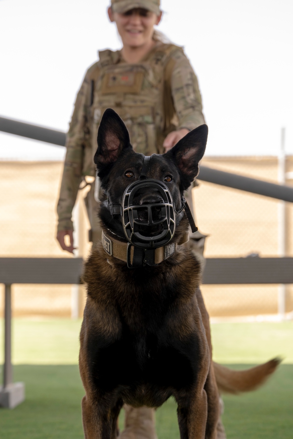 MWD medical response training