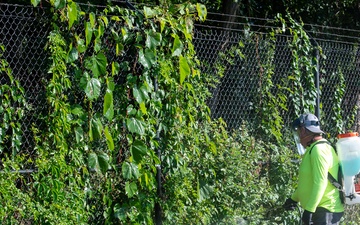 CE conducts invasive weed control measures
