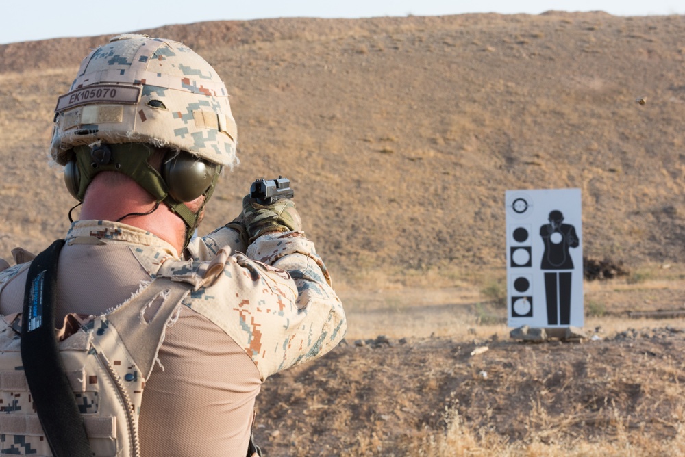 Coalition Forces Conduct Estonian-Led Range Operations