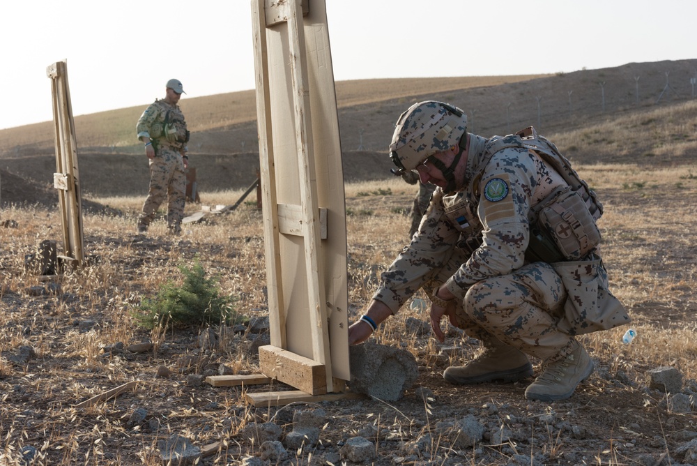 Coalition Forces Conduct Estonian-Led Range Operations