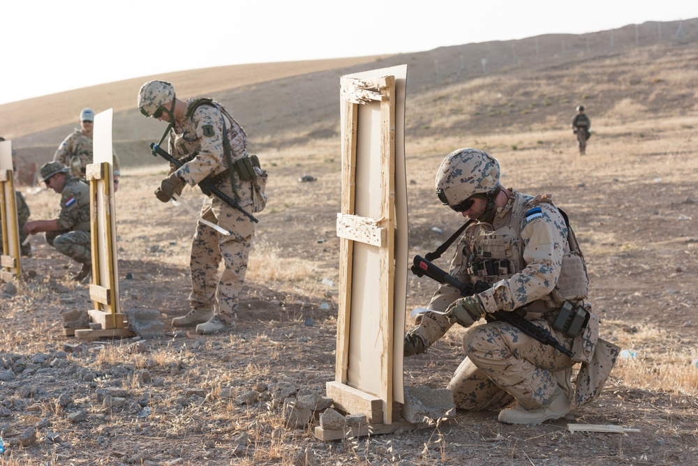 Coalition Forces Conduct Estonian-Led Range Operations
