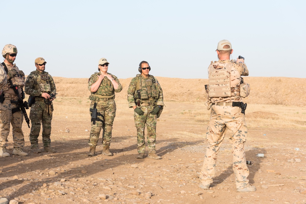 Coalition Forces Conduct Estonian-Led Range Operations