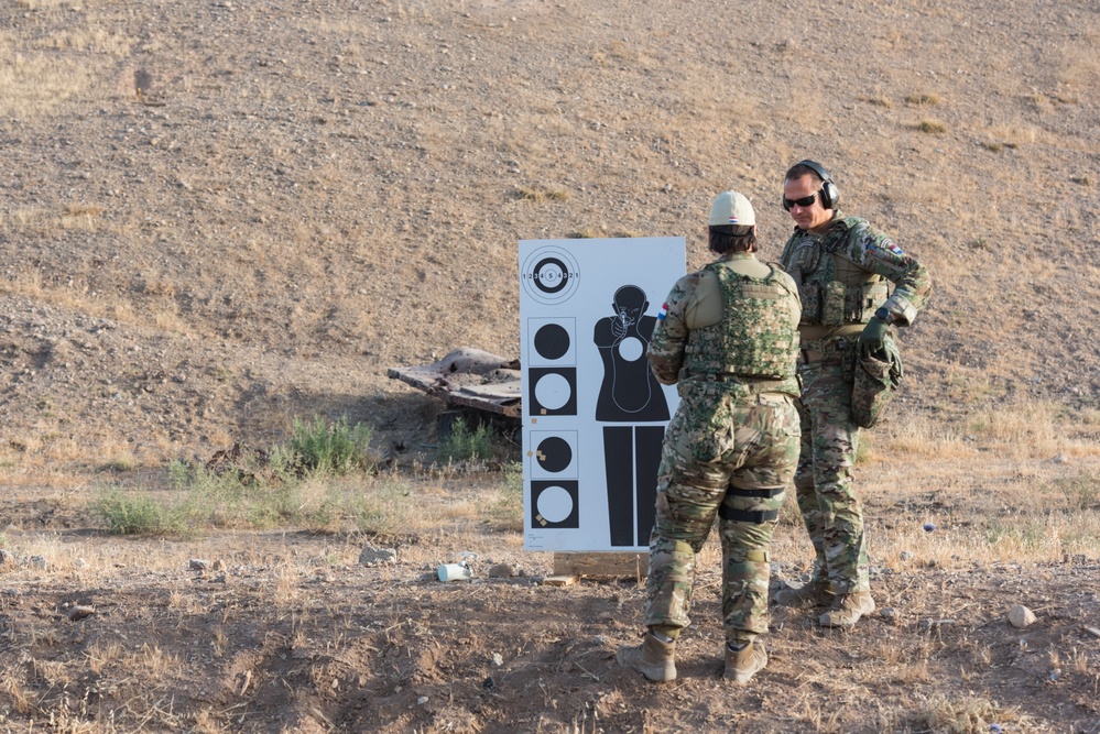 Coalition Forces Conduct Estonian-Led Range Operations