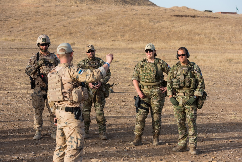 Coalition Forces Conduct Estonian-Led Range Operations