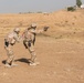 Coalition Forces Conduct Estonian-Led Range Operations