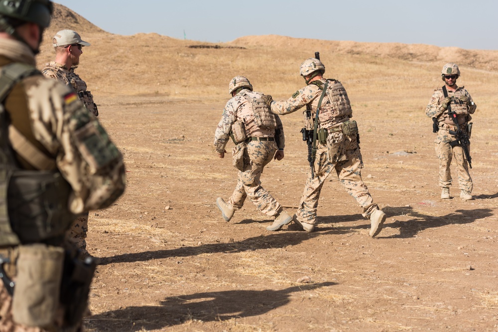 Coalition Forces Conduct Estonian-Led Range Operations