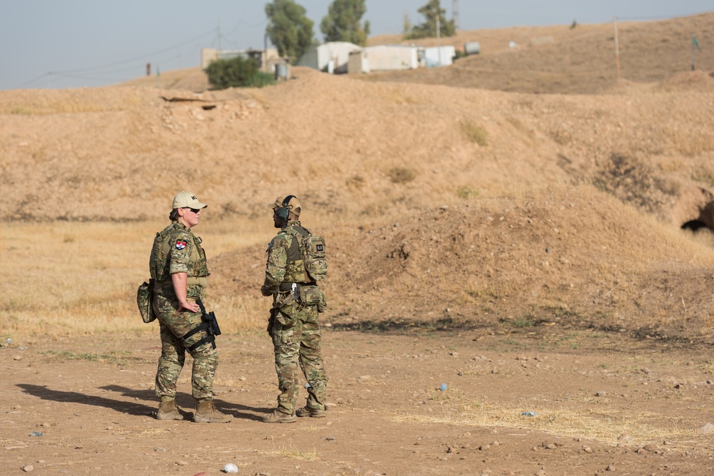 Coalition Forces Conduct Estonian-Led Range Operations