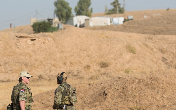 Coalition Forces Conduct Estonian-Led Range Operations