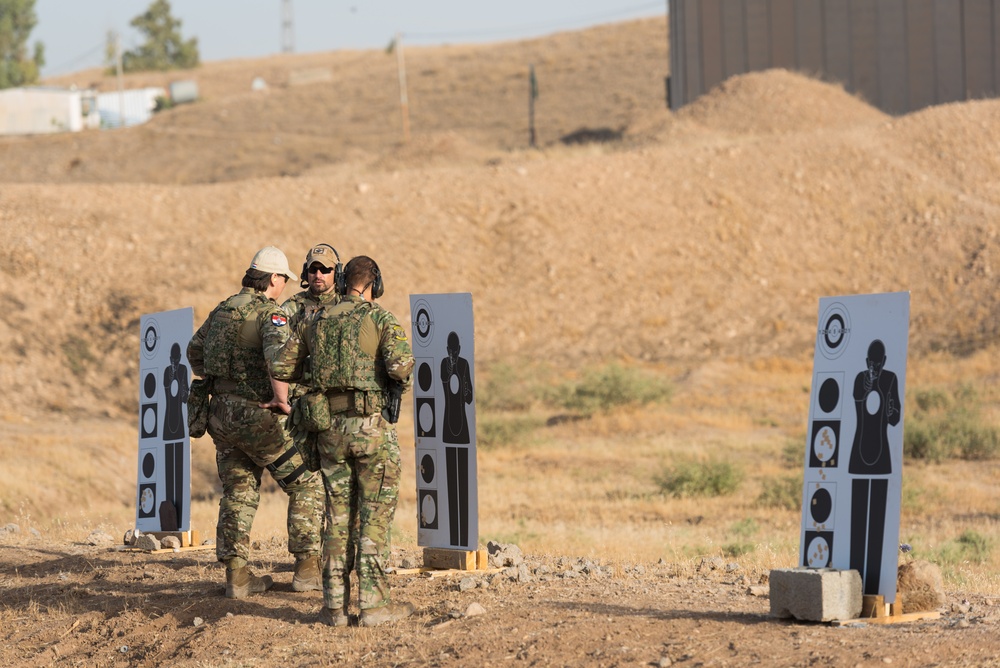 Coalition Forces Conduct Estonian-Led Range Operations