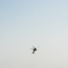 Estonian Defence Forces Conduct Close Air Support Live Fire Exercise