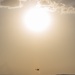 Estonian Defence Forces Conduct Close Air Support Live Fire Exercise