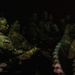 1st Air Cavalry Brigade hosts Aviation Safety Brief on Fort Hood