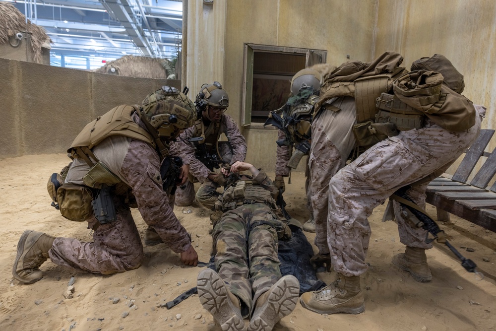 Burmese Chase 25 IIT Training