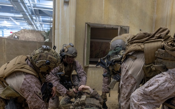 Burmese Chase 25 IIT Training