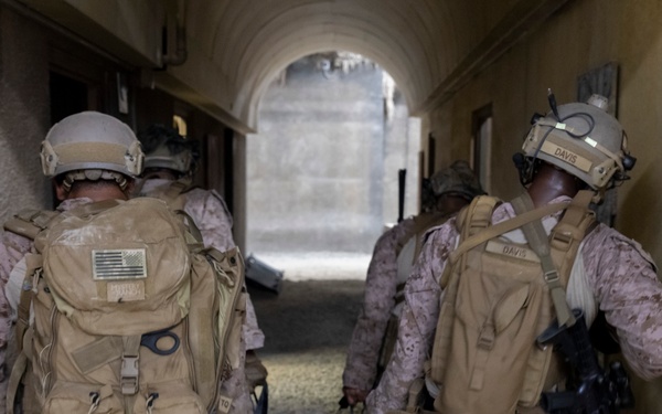 Burmese Chase 25 IIT Training