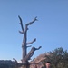 Army Reserve officers, civilian rescue dehydrated hiker near Mount Lemmon