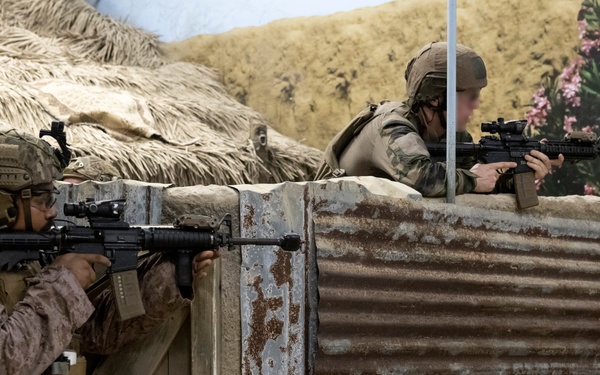 Burmese Chase 25 IIT Training