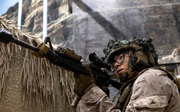 Burmese Chase 25 IIT Training