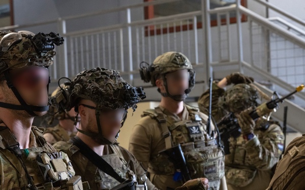 Burmese Chase 25 IIT Training