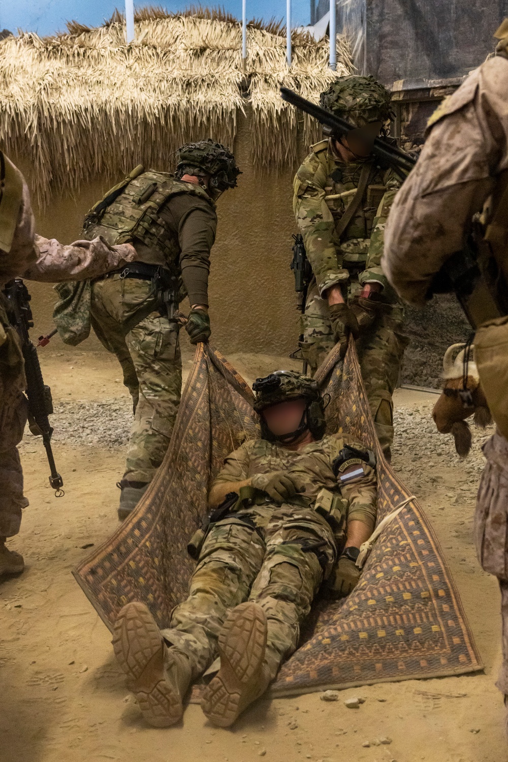 Burmese Chase 25 IIT Training