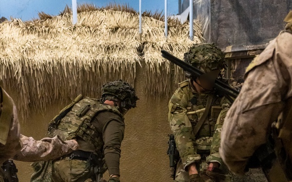 Burmese Chase 25 IIT Training