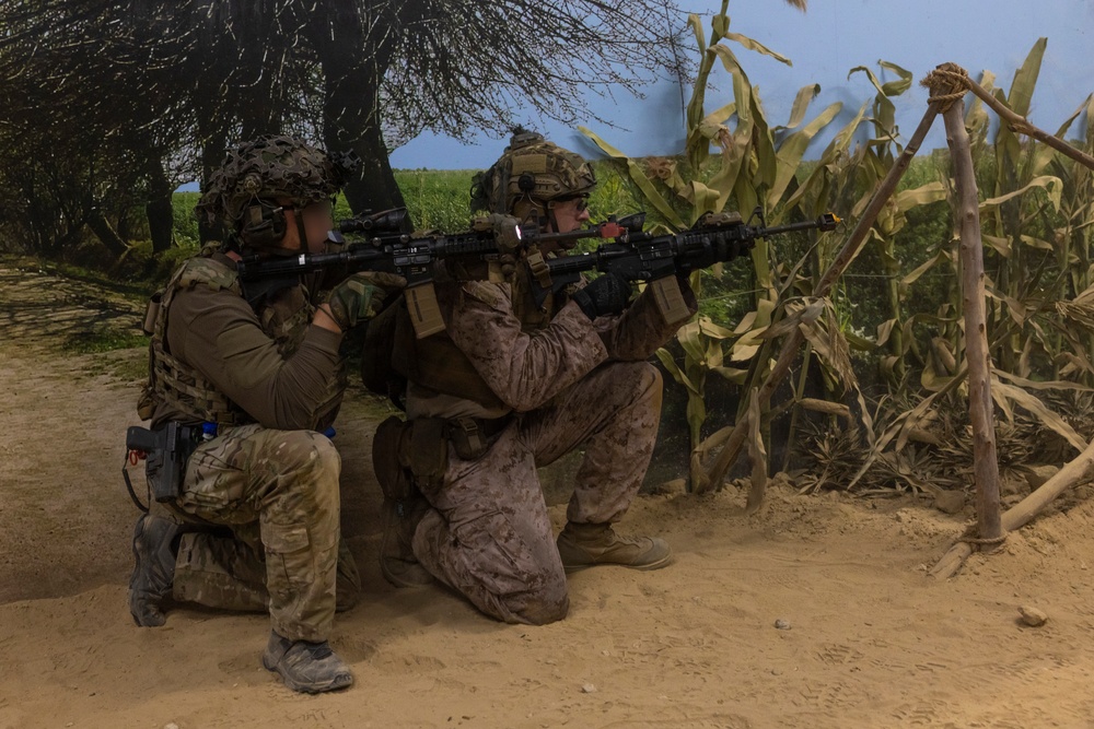 Burmese Chase 25 IIT Training