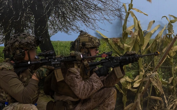 Burmese Chase 25 IIT Training