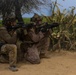 Burmese Chase 25 IIT Training