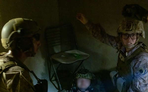 Burmese Chase 25 IIT Training