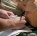 U.S. and RAF Aeromedical Evacuation teams partner for DLE 2025