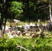 Fort McCoy continues to utilize goats to combat invasive species across installation