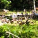 Fort McCoy continues to utilize goats to combat invasive species across installation