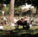 Fort McCoy continues to utilize goats to combat invasive species across installation