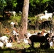 Fort McCoy continues to utilize goats to combat invasive species across installation