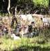 Fort McCoy continues to utilize goats to combat invasive species across installation