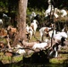 Fort McCoy continues to utilize goats to combat invasive species across installation