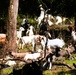 Fort McCoy continues to utilize goats to combat invasive species across installation