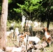Fort McCoy continues to utilize goats to combat invasive species across installation