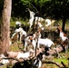 Fort McCoy continues to utilize goats to combat invasive species across installation