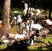 Fort McCoy continues to utilize goats to combat invasive species across installation