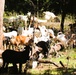 Fort McCoy continues to utilize goats to combat invasive species across installation