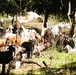 Fort McCoy continues to utilize goats to combat invasive species across installation