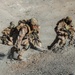 Marines with V28 conduct company attacks during ITX 4-25
